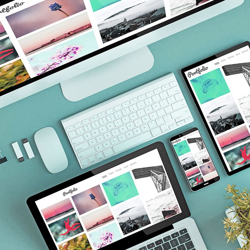 Spring-Creative-Inc-Wordpress-Website-Developers